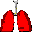 tis-pulmo icon